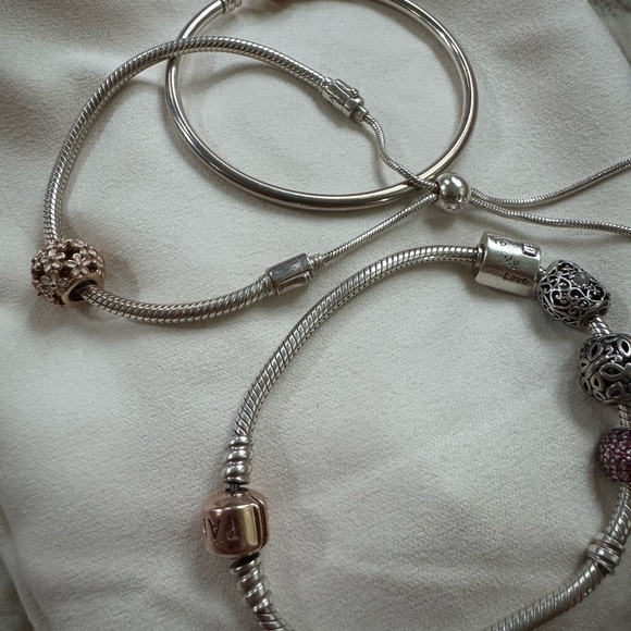 Pandora Bracelets with Charms - Picture 4 of 6